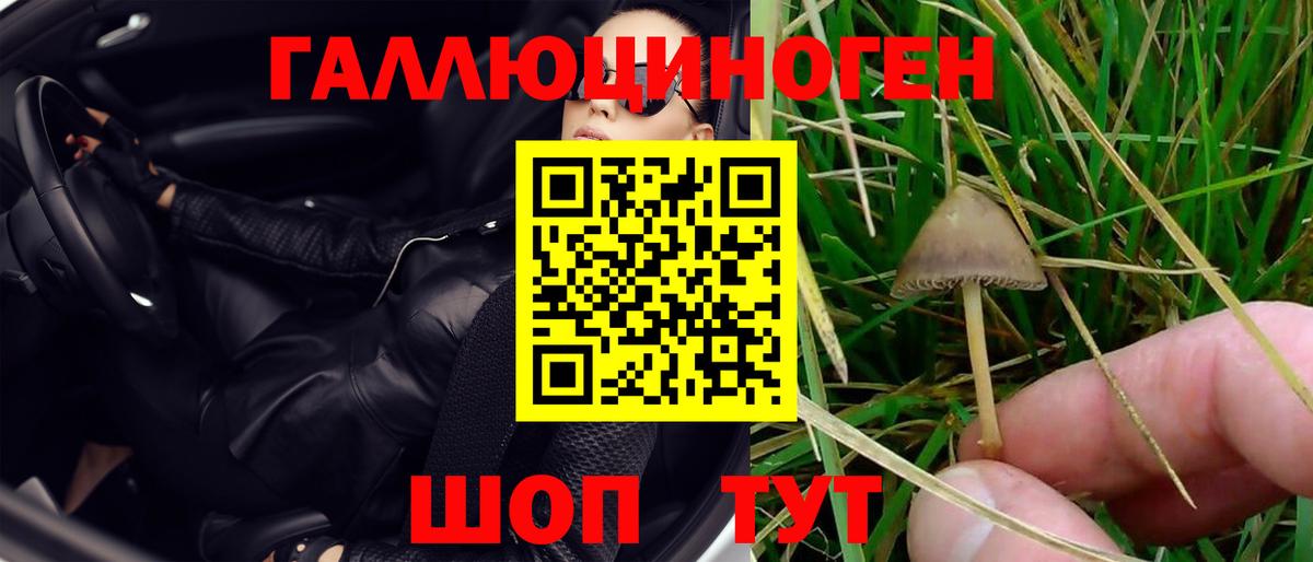 Псилоцибиновые грибы Magic Shrooms  Вход с VPN  Коломна 